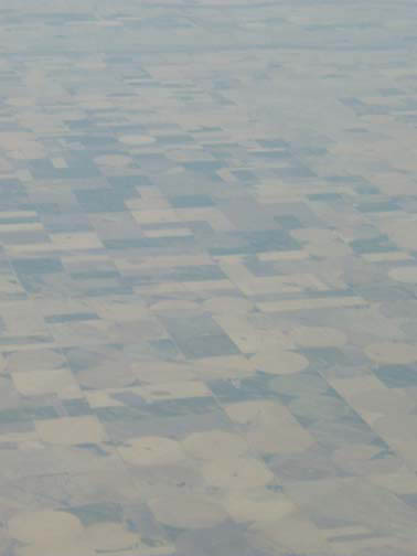 P3130006