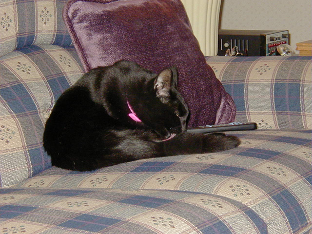 P9290004