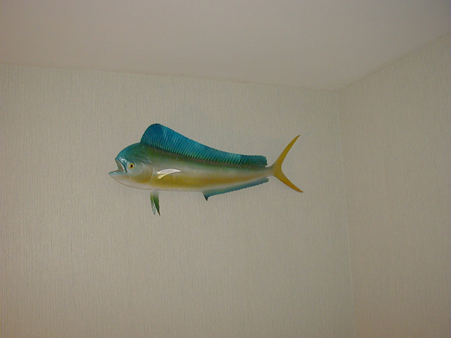 P9300015