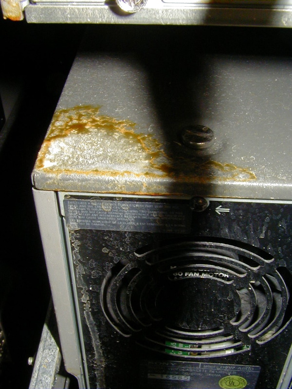 P5060009_1
