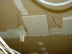 P5060015_1