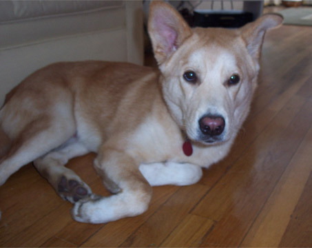 beau10