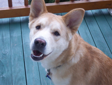 beau2