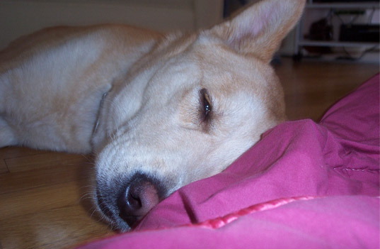 beau7