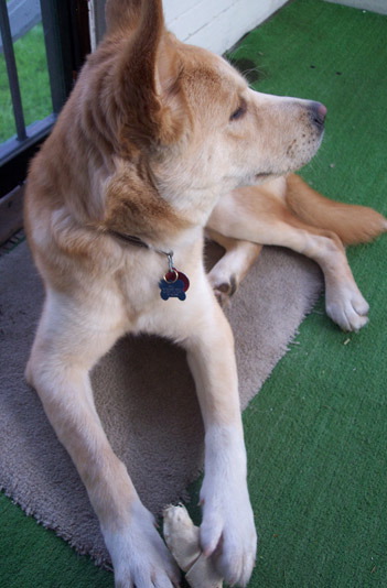 beau14
