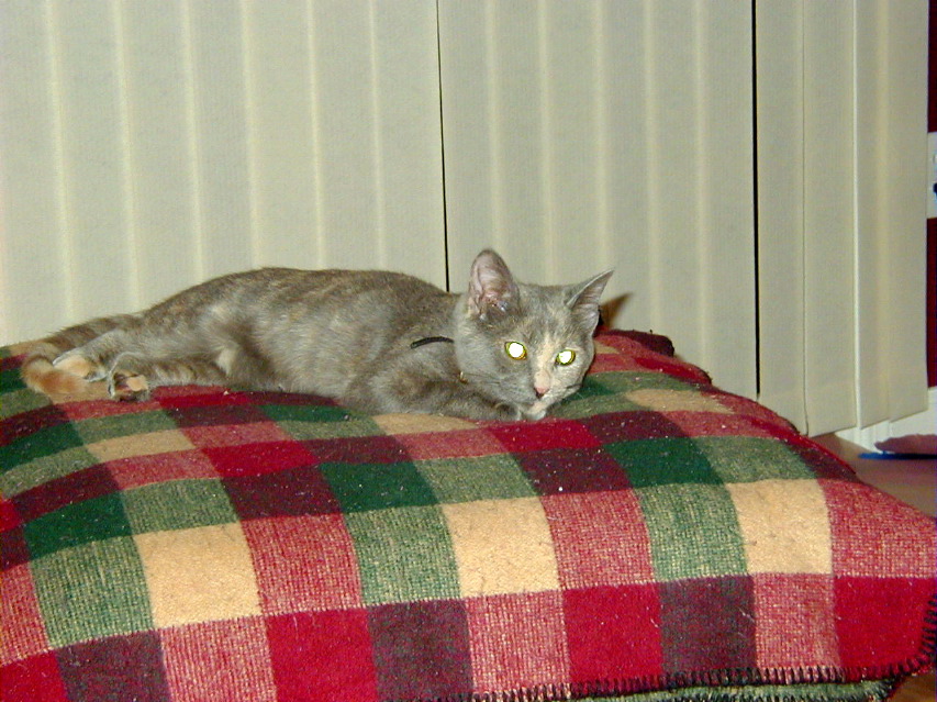 P6060037