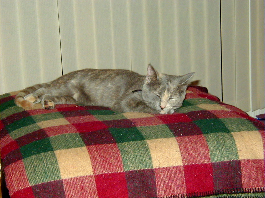 P6060038
