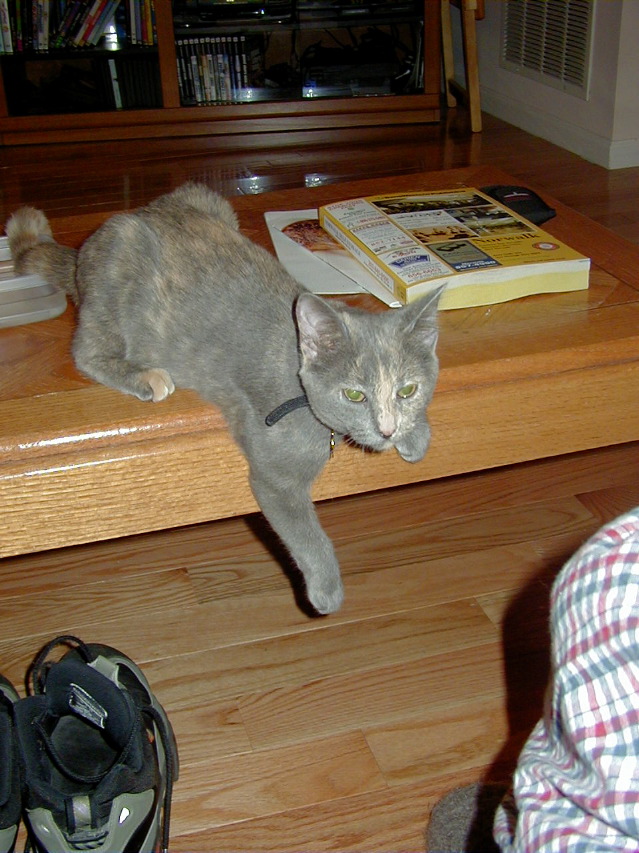 P6060032