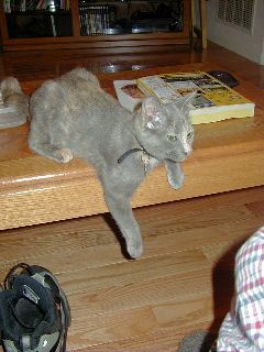 P6060031