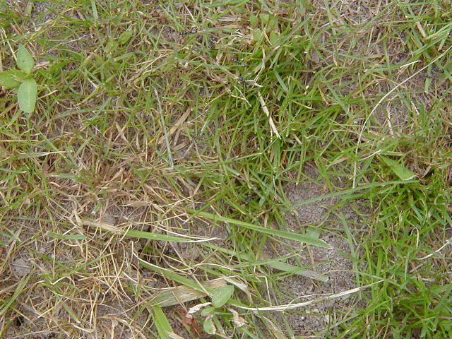 P6290062