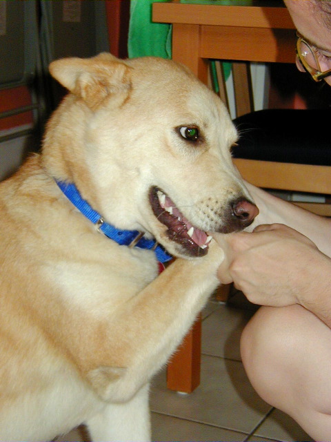 P6290010