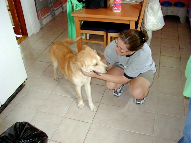 P6290008