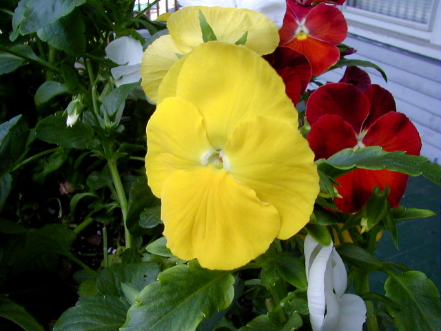 P6290093