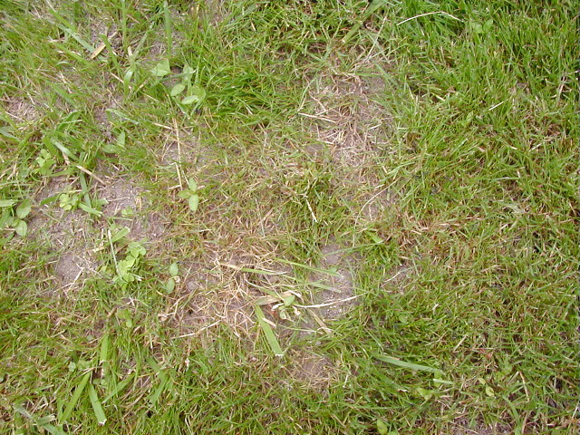 P6290063