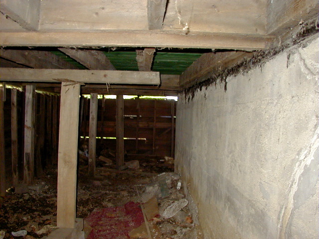 P6290018