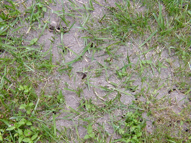 P6290060