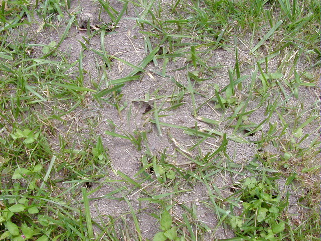 P6290061
