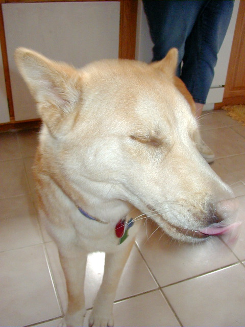 P6290002