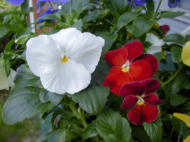 P6290092