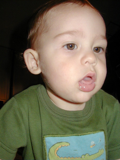 P9200050