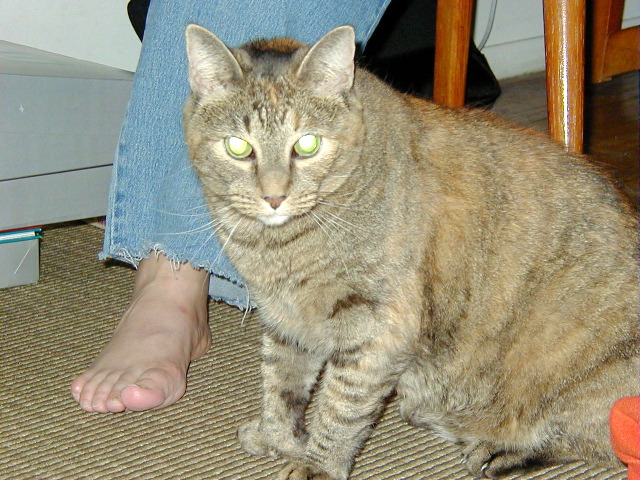 P9200007