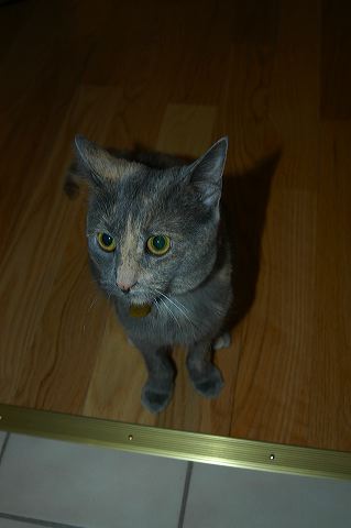 dsc_0202.jpg
