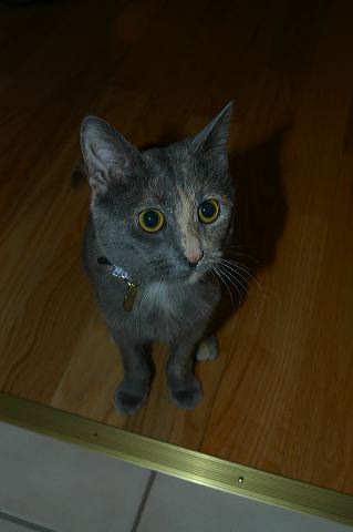 dsc_0203.jpg