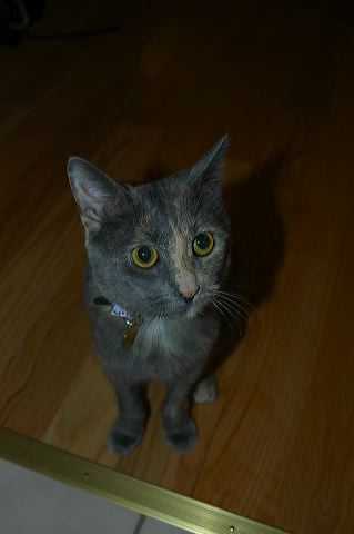 dsc_0204.jpg