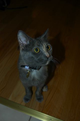 dsc_0205.jpg