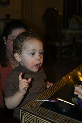 dsc_0236.jpg