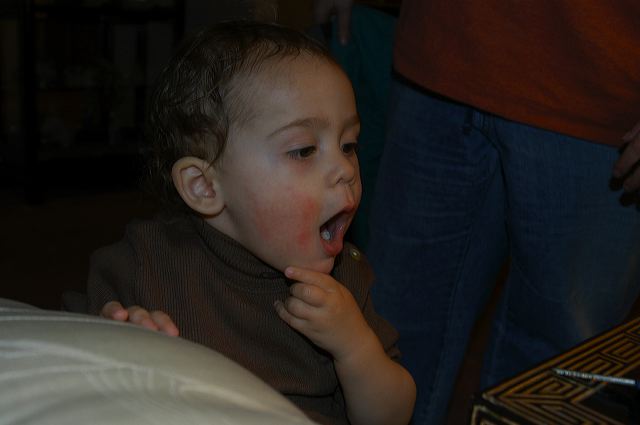 dsc_0241.jpg