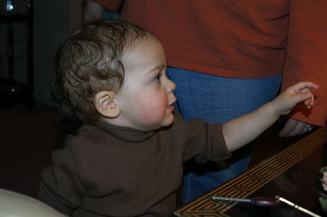 dsc_0242.jpg