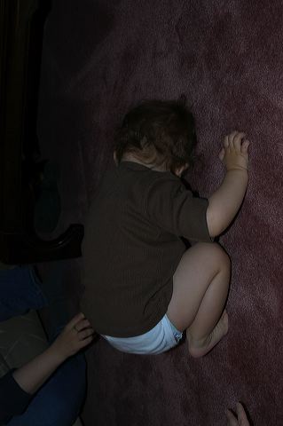 dsc_0331.jpg