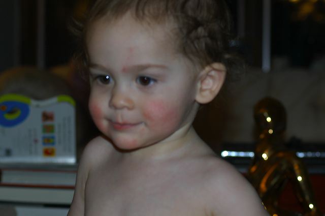 dsc_0347.jpg