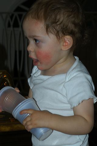 dsc_0377.jpg