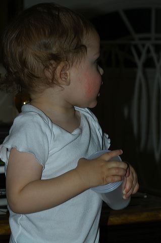 dsc_0378.jpg