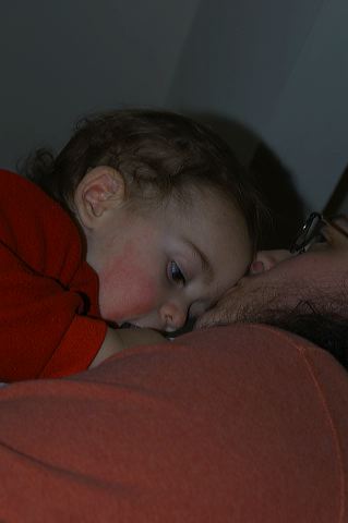 dsc_0381.jpg
