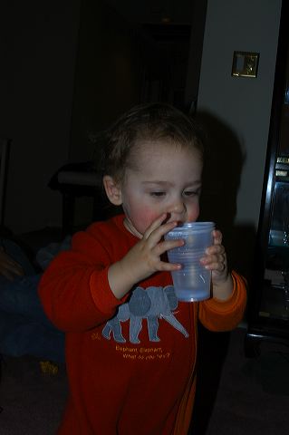 dsc_0387.jpg