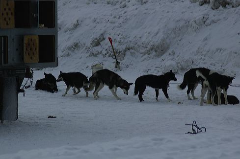 dsc_0019.jpg