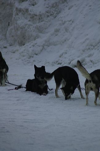 dsc_0021.jpg