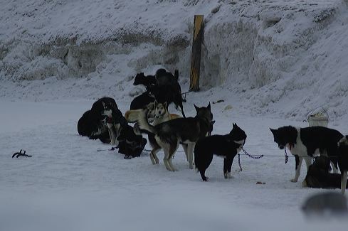 dsc_0023.jpg