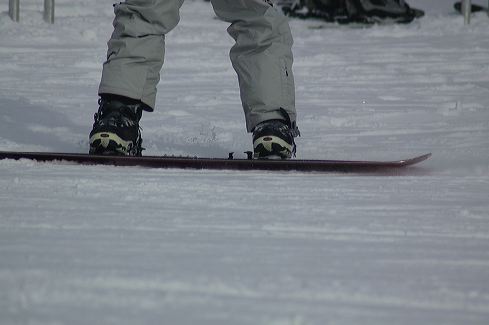 dsc_0095.jpg