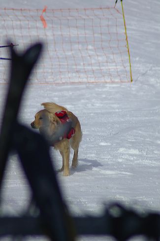 dsc_0102.jpg