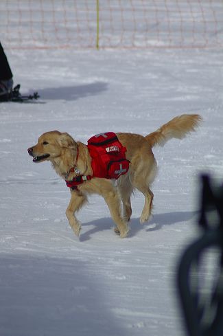 dsc_0103.jpg