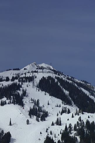 dsc_0140.jpg