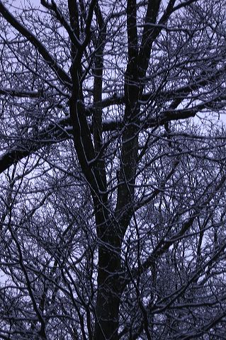 dsc_0004.jpg