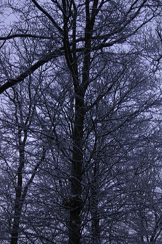 dsc_0006.jpg