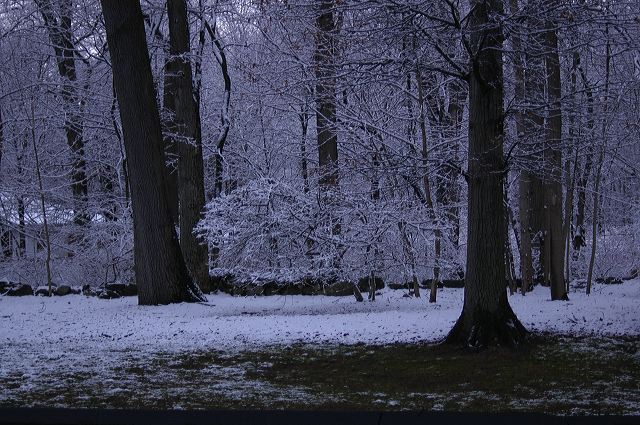 dsc_0007.jpg