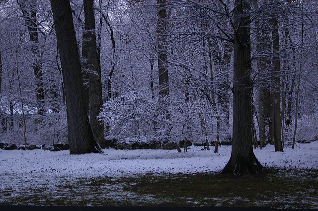 dsc_0008.jpg