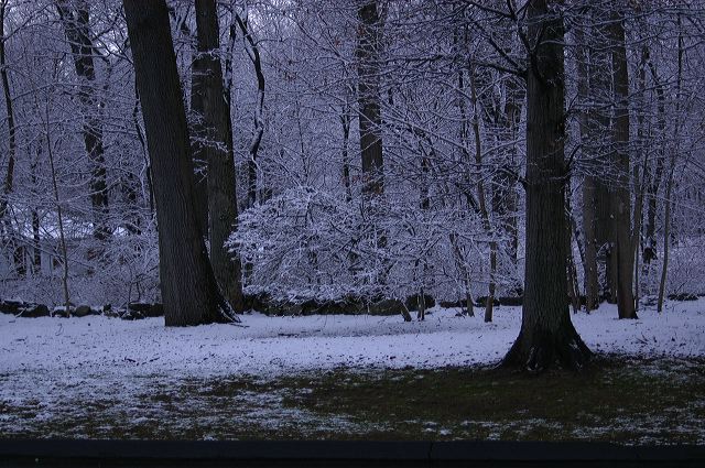 dsc_0009.jpg